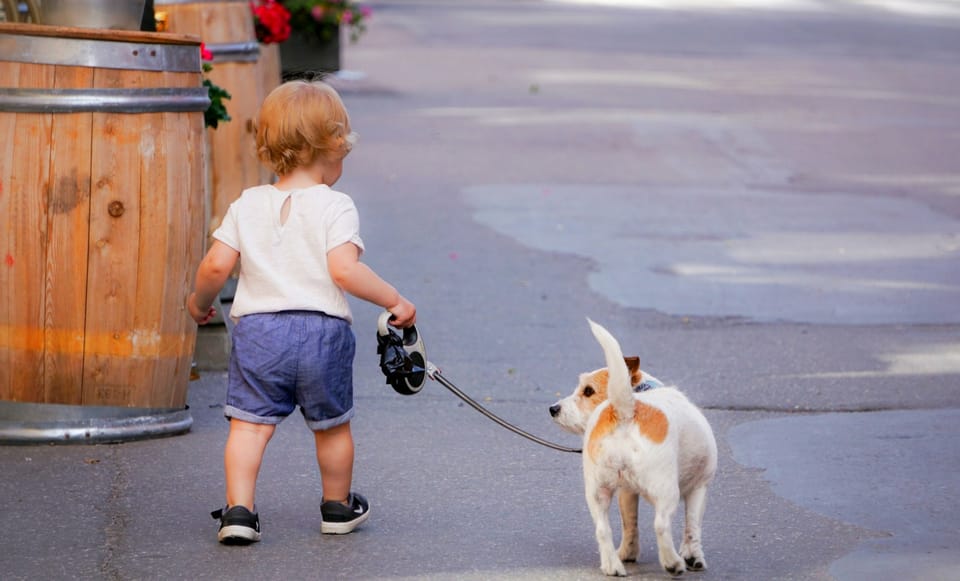 HighLevel for Dog Walkers & Pet Sitters: Book Clients, Manage Visits and Keep Pet Parents in the Loop